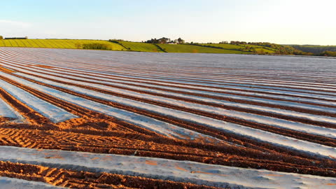 Agricultural Field with Furrows Ready for Sowing at Sunset