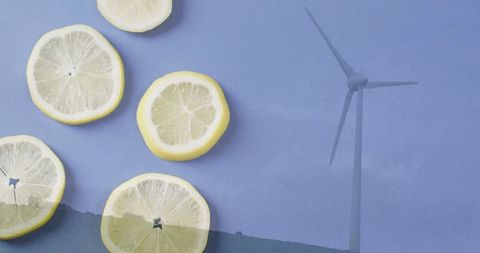 Citrus and Wind Power Blend for Sustainable Future Together