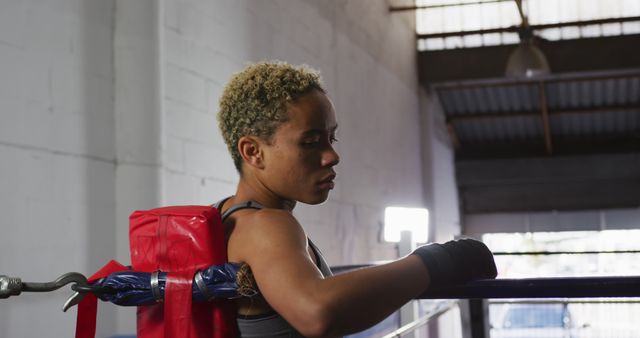 Female Boxer Resting on Boxing Ring Rope in Gym - Download Free Stock Images Pikwizard.com