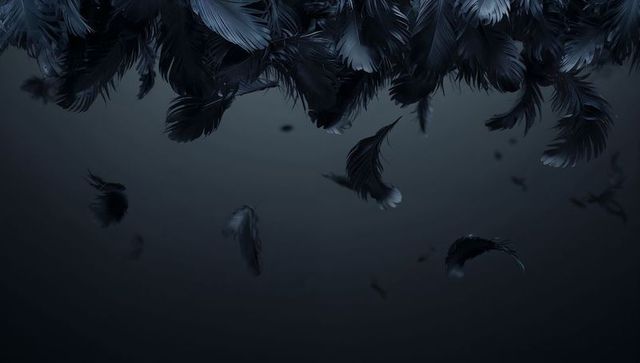 Mysterious falling feathers in dark atmosphere