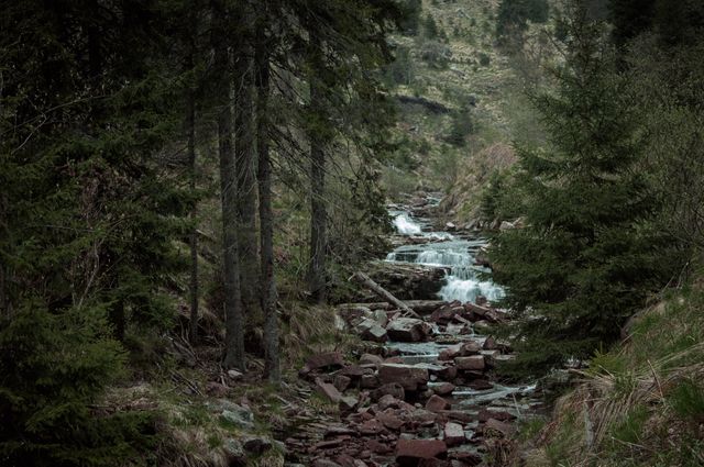 Peaceful mountain stream flowing through dense forest. Ideal for nature-focused websites. Use in projects related to outdoor and wilderness themes, environmental conservation, or scenic photo collections.