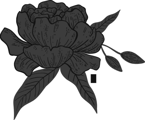 Transparent botanical illustration of peony bloom on branch