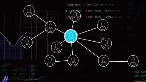 Network Connections and Stock Market Data Integration
