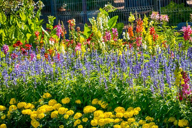 This image captures a vibrant flower garden filled with colorful blossoms. The lush and blooming nature setting offers a beautiful and relaxing visual, making it ideal for use in gardening projects, nature blogs, spring-themed decorations, posters promoting outdoor activities, and eco-friendly campaigns.