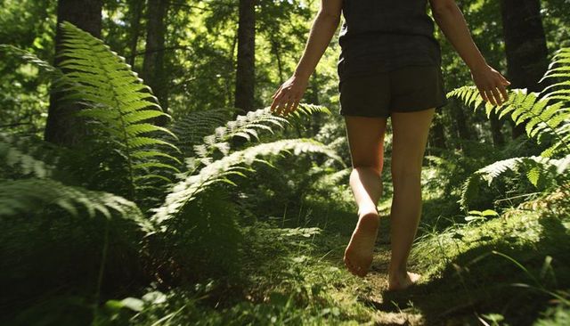 Walking barefoot through fern-lined moss trail under dappled forest canopy
