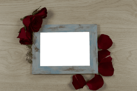 empty rusty gradient frame adorned with romantic red roses, transparent background - Download Free Stock Videos Pikwizard.com