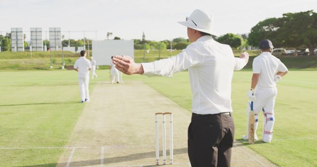 Cricket Umpire Signaling and Players on Field - Download Free Stock Images Pikwizard.com