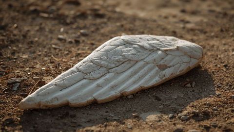 Lying weathered white angel wing sculpture with cracked feathers on dry ground