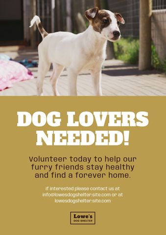 Dog Adoption Volunteer Call Poster with Hopeful Pet - Download Free Stock Templates Pikwizard.com