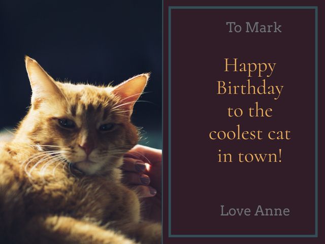 Picture depicts a relaxed ginger cat. Text is customizable for birthday greetings and special messages. Ideal for personalized birthday cards, pet announcements, and friendly greetings.