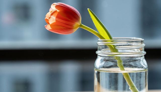 Single red-orange tulip leaning in clear glass jar on window ledge with soft urban bokeh