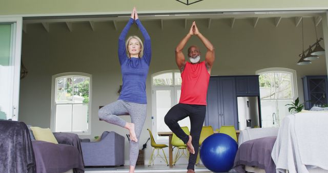 Senior couple performing the tree pose during a yoga session in their living room. This setting highlights a peaceful and healthy lifestyle that focuses on fitness and well-being. Ideal for use in wellness and fitness blogs, senior health promotional materials, and home exercise content.