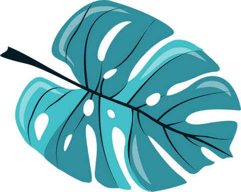 Transparent Stylized Tropical Leaf in Teal and Turquoise - Download Free Stock Videos Pikwizard.com