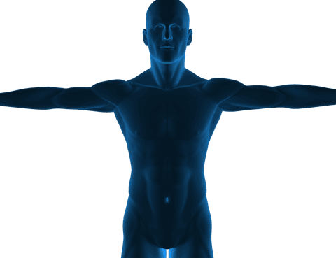 Digital Muscular Man Silhouette with Outstretched Arms on Transparent - Download Free Stock Videos Pikwizard.com