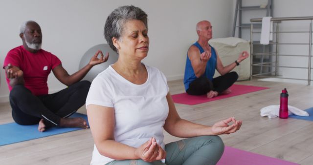 Senior Group Meditating During Yoga Session in Studio - Download Free Stock Images Pikwizard.com