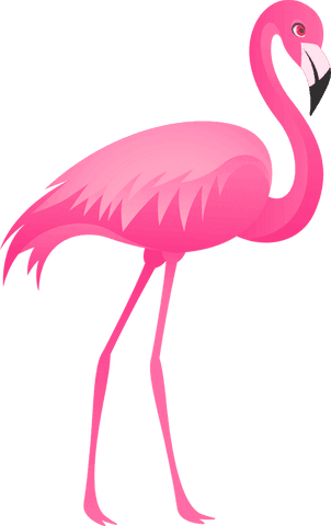stylized transparent flamingo illustration - Download Free Stock Videos Pikwizard.com