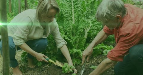 Sustainable Gardening: Couple Cultivating Community Garden Together