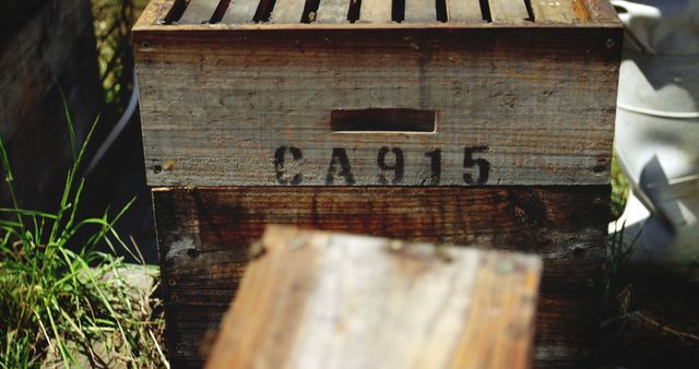 Weathered wooden bee hive box placed outdoors with inscription CA915. Suitable for articles or blogs about beekeeping, agriculture, nature, conservation, and beekeeper tools. Can be used in publications focusing on sustainable living, organic farming, or rustic aesthetics.