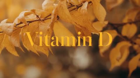 Pullback Reveal of Golden Autumn Leaves with 'Vitamin D' Serif Typography and Bokeh Glow