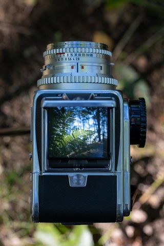 Vintage technology camera focusing on nature scene