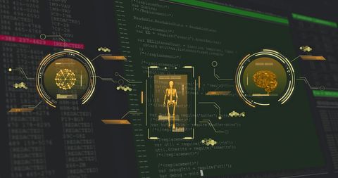 Futuristic Data Interface with Human Skeleton and Brain Visualization - Download Free Stock Images Pikwizard.com