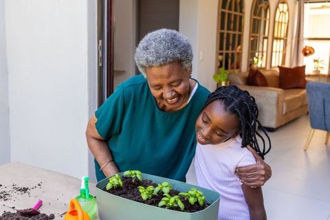 Senior african woman and granddaughter planting seedlings indoors, sharing joyful moment