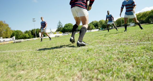 Scene showing rugby players engaged in an intense match on a sunny outdoor field. Suitable for use in articles about sports, teamwork, outdoor activities and athletic competitions, physical fitness advertisements, sports club promotions, and community events.