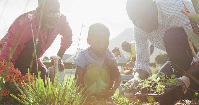 Image of happy african american family planting and spending time together in the garden. Family life, spending time together with family.