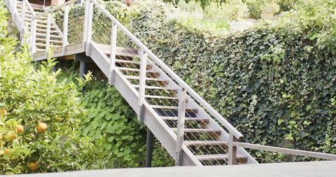 Weathered wooden staircase ascending through lush terraced garden with citrus tree