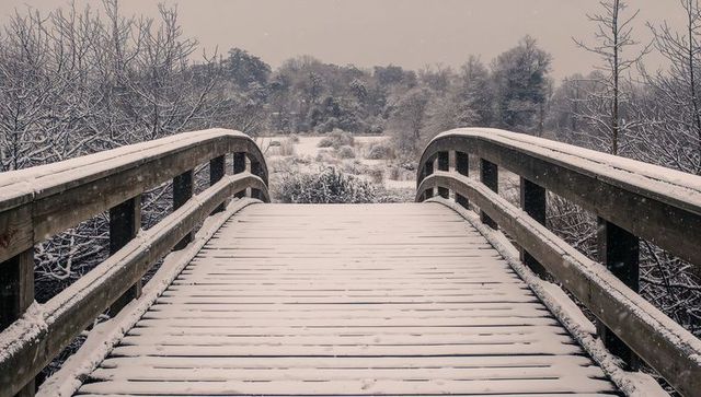 Leading snow-covered wooden arched bridge curving into quiet winter marsh