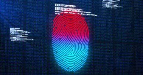 Fingerprint Biometrics with Digital Data Integration - Download Free Stock Images Pikwizard.com