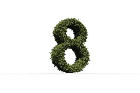 leaf number eight floating transparent background - Download Free Stock Videos Pikwizard.com
