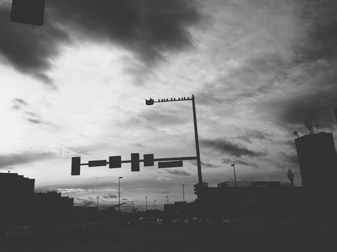 Urban dusk silhouette showing birds perched on traffic light with dramatic cloudy sky