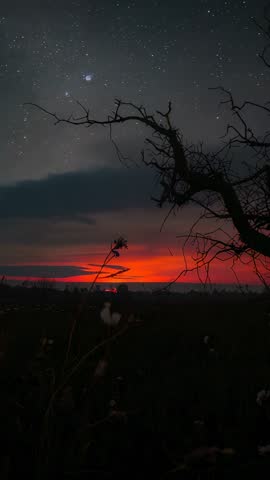 Cinematic vertical sunset to starry sky transition with silhouetted tree branch over field