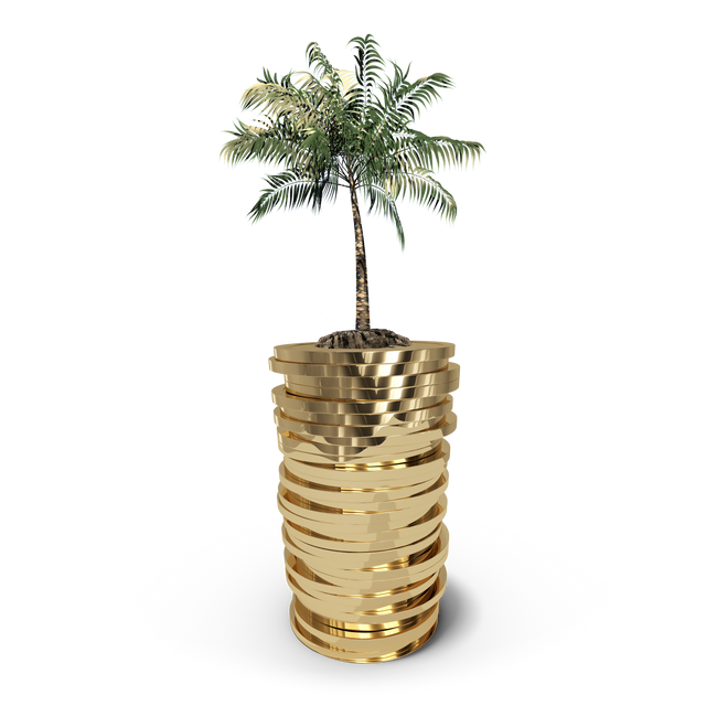 Transparent Coins Stack with Growing Palm Tree Digital PNG Illustration - Download Free Stock Videos Pikwizard.com