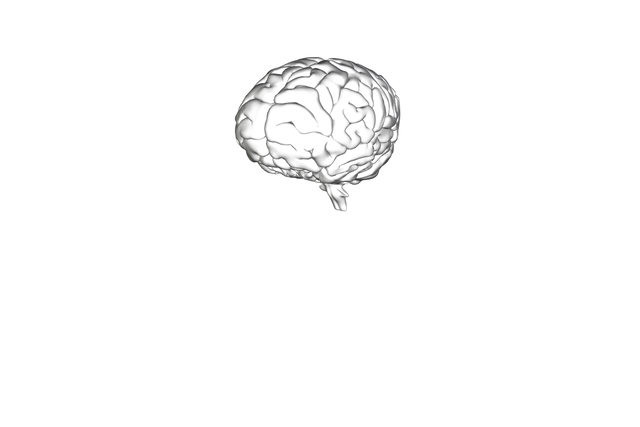 Digital Illustration of Human Brain on Transparent Background for Knowledge Concept - Download Free Stock Videos Pikwizard.com