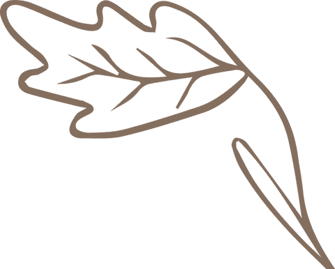 Stylized leaf outline on transparent background for nature designs