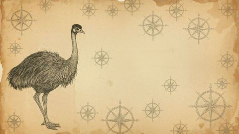 Vintage nautical parchment with flightless bird illustration