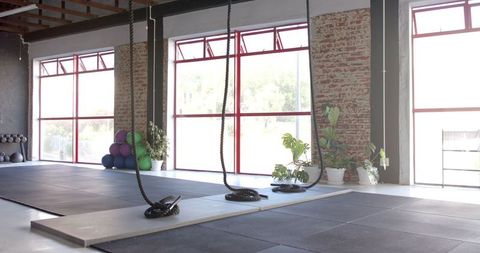 Modern sunlit gym interior with ropes and natural decor elements