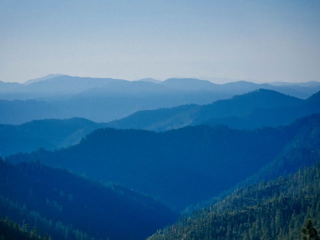 Scenic Mountain Range with Forest in the Morning Light - Download Free Stock Photos Pikwizard.com