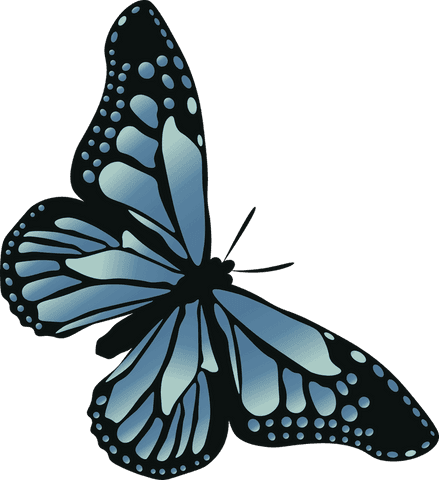 Minimalist blue butterfly illustration on transparent background
