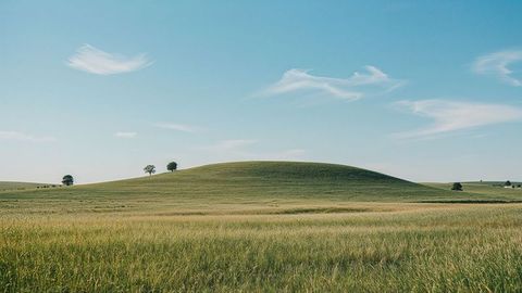 Serene Prairie Landscape with Gentle Hill and Sparse Trees