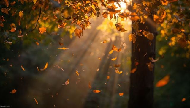 Sunlit amber leaves drifting through autumn forest sunbeams