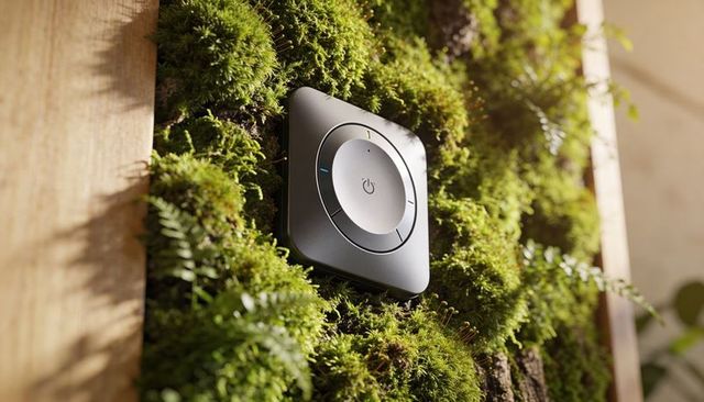 Smart wall controller mounted on living moss panel with recessed dial and blue led