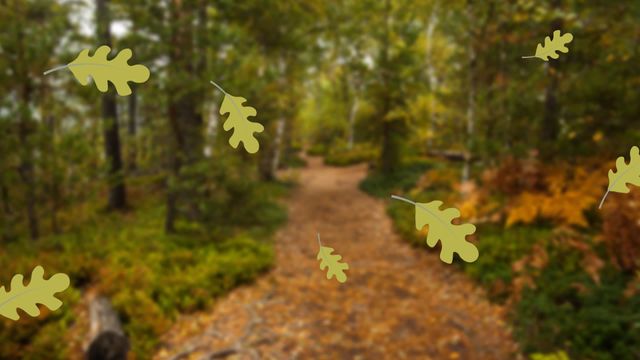 Animated oak leaves falling gently over a forest path with lush greenery and scattered autumn leaves on the ground. Perfect for use in seasonal outdoor themes, nature projects, animations, or digital backgrounds that need a touch of autumn. Can be used in promotional materials, seasonal banners, and nature-focused advertising.