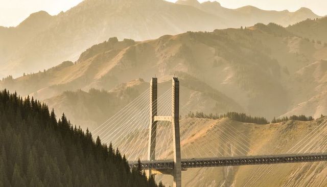Cable-stayed bridge bridging golden mountain valley with twin pylons and conifer forest