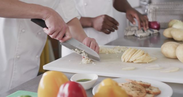 Chefs Chopping and Preparing Fresh Vegetables in Professional Kitchen - Download Free Stock Images Pikwizard.com