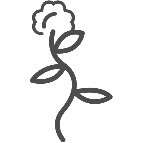 Black flower silhouette isolated on transparent background