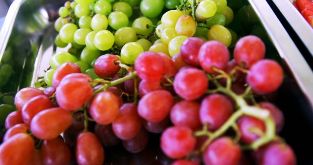 Grapes are displayed in a neat and vibrant arrangement, showcasing their freshness and variety. Ideal for illustrating healthy eating, organic produce, and market fresh concepts.