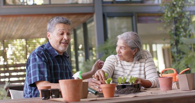 Senior Couple Enjoying Gardening on Patio - Download Free Stock Images Pikwizard.com